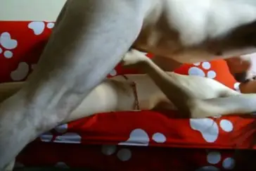 Skandal ABG Bispak Hotel Bintang Lima Jakarta